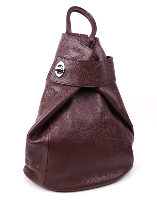 F285 Genuine Leather Stylish Backpack with front Buckle - Image 7